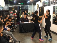 -温鉴良实用咏春拳