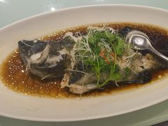 -骏莱海鲜鱼港(五角场店)