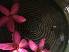 -心足私家足疗SPA(深圳湾店)