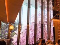 -桂满陇·海市蜃楼·黑金(国金店)