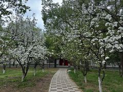 -北陵公园