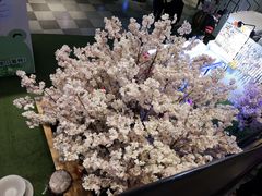 -Olé精品超市(北京合生汇店)
