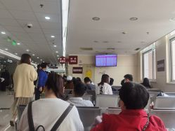 -复旦大学附属妇产科医院(杨浦院区)