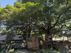 -乌山风景区