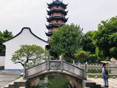 -红梅公园