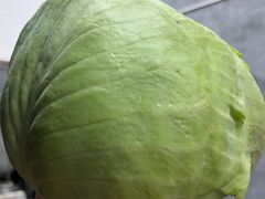 -九龙江国家森林公园