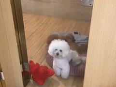 -Double Rui宠物酒店