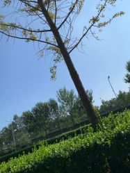 -HEYAN荷妍专业脱毛连锁机构