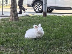 -小意思咖啡店(草桥店)