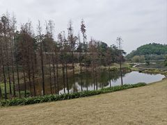 -国恩寺