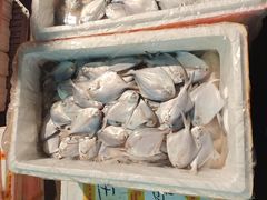 -王四营海鲜市场