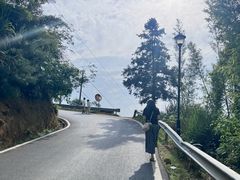 -杨家堂村