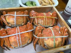 -黄记大闸蟹专卖店·活蟹·醉蟹