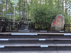 -莫尔道嘎国家森林公园