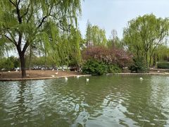 -洛阳市隋唐城遗址植物园