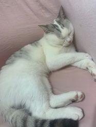 -Hello Beauty美甲美睫皮肤管理中心