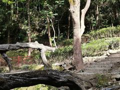 -南漈山
