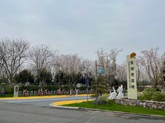 -贡湖湾湿地公园