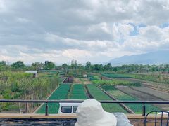 -翠田Green Field Kitchen