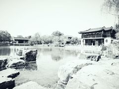 -尚湖风景区