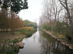 -上海滨江森林公园