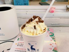 -麓茶