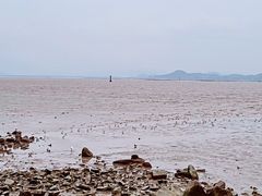 -深圳湾公园(南山区)