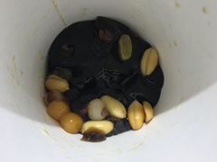 -洪都大拇指(洪都店)