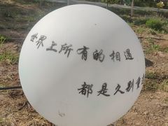 -西域欢乐城