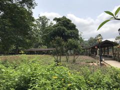 -广州市流溪河国家森林公园