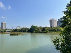 -福田红树林生态公园