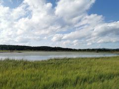 -塞罕坝国家级自然保护区