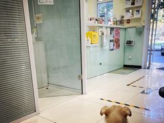 -悦宠凯宝动物医院·牙科·皮肤科(朝阳北路店)