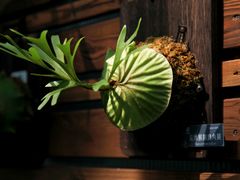 -国家植物园南园