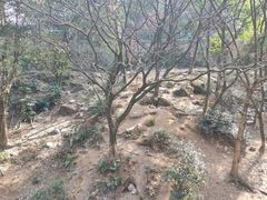 -宁波野生动物园