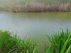 -白鹭湾湿地公园