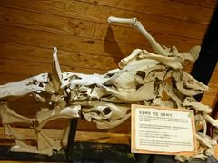 -信不信由你博物馆