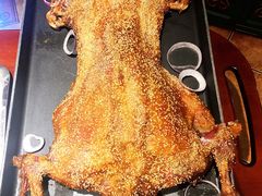 -九十九顶毡房(阜石路店)