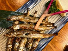 -三月居酒屋(青年大街店)