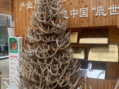 -北京鹿世界主题园