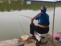 -咸阳湖景区-古渡公园