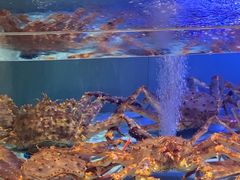 -阿伟海鲜楼·福建菜(延寿店)