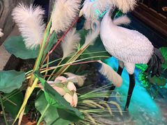 -韵秋荷(宝山龙湖天街店)
