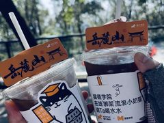 -岳麓山风景名胜区