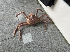 -三亚湾水产综合交易市场