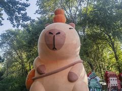 -北京野生动物园