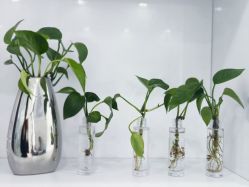 -靓芙泉专研痘痘肌