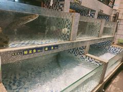 -格塘人家·山泉水煮鱼(望兴家园店)