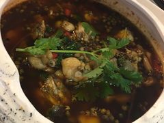 馋嘴蛙仔-尘香•传统川菜(创汇首座店)