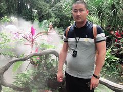 -呀诺达热带雨林